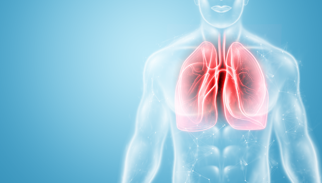 The Art of Chest Percussion for Respiratory Wellness